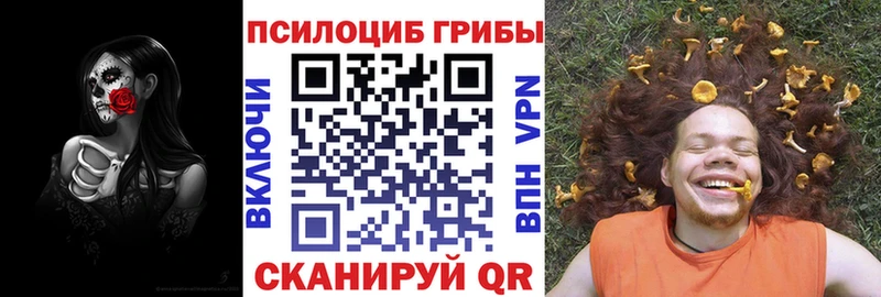 Купить закладки Ершов Псилоцибиновые грибы Magic Shrooms